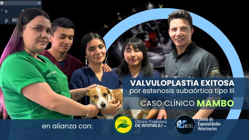 caso clinico mambo - valvuloplastia exitosa