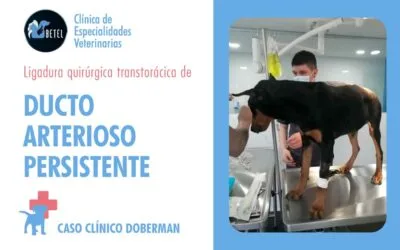 DUCTO ARTERIOSO PERSISTENTE | CASO COMPLETO
