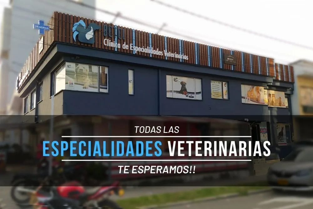 fachada betel