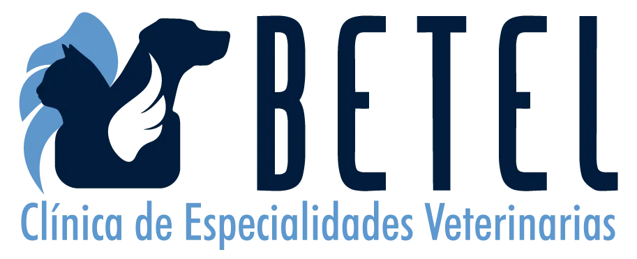 Clínica Veterinaria Betel